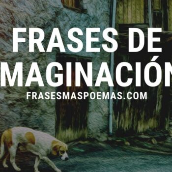 Frases de Imaginación