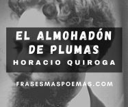«El almohadón de plumas» de Horacio Quiroga