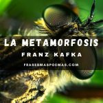 «La metamorfosis» de Franz Kafka (Novela)