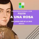 «A una rosa» de Sor Juana Inés de la Cruz (Poema)