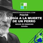 «Elegía a la muerte de un perro» de Miguel de Unamuno (Poema)