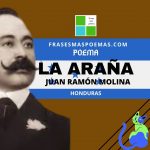«La araña» de Juan Ramón Molina (Poema)