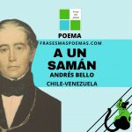 «A un samán» de Andrés Bello (Poema)