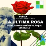 «La última rosa» de Ángel Marino Ramírez V. (Poema)