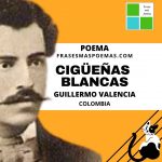«Cigüeñas Blancas» de Guillermo Valencia (Poema)
