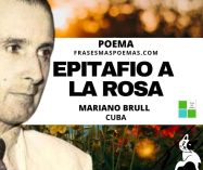 «Epitafio a la rosa» de Mariano Brull (Poema)