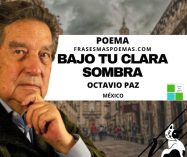 «Bajo tu clara sombra» de Octavio Paz (Poema)