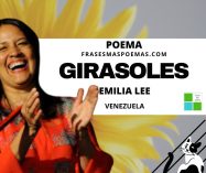 «Girasoles» de Emilia Lee (Poema)