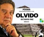 «Olvido» de Octavio Paz (Poema)