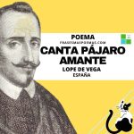 «Canta pájaro amante» de Lope de Vega (Poema)