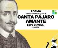 «Canta pájaro amante» de Lope de Vega (Poema)