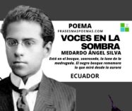 «Voces en la sombra» de Medardo Ángel Silva (Poema)