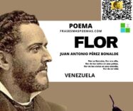«Flor» de Juan Antonio Pérez Bonalde (Poema)