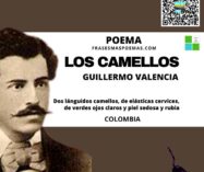 «Los camellos» de Guillermo Valencia (Poema)