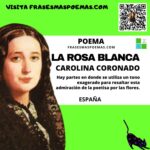 «La rosa blanca» de Carolina Coronado (Poema)