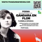 «Gándara en flor» de Florbela Espanca (Poema)