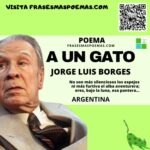 «A un gato» de Jorge Luis Borges (Poema)